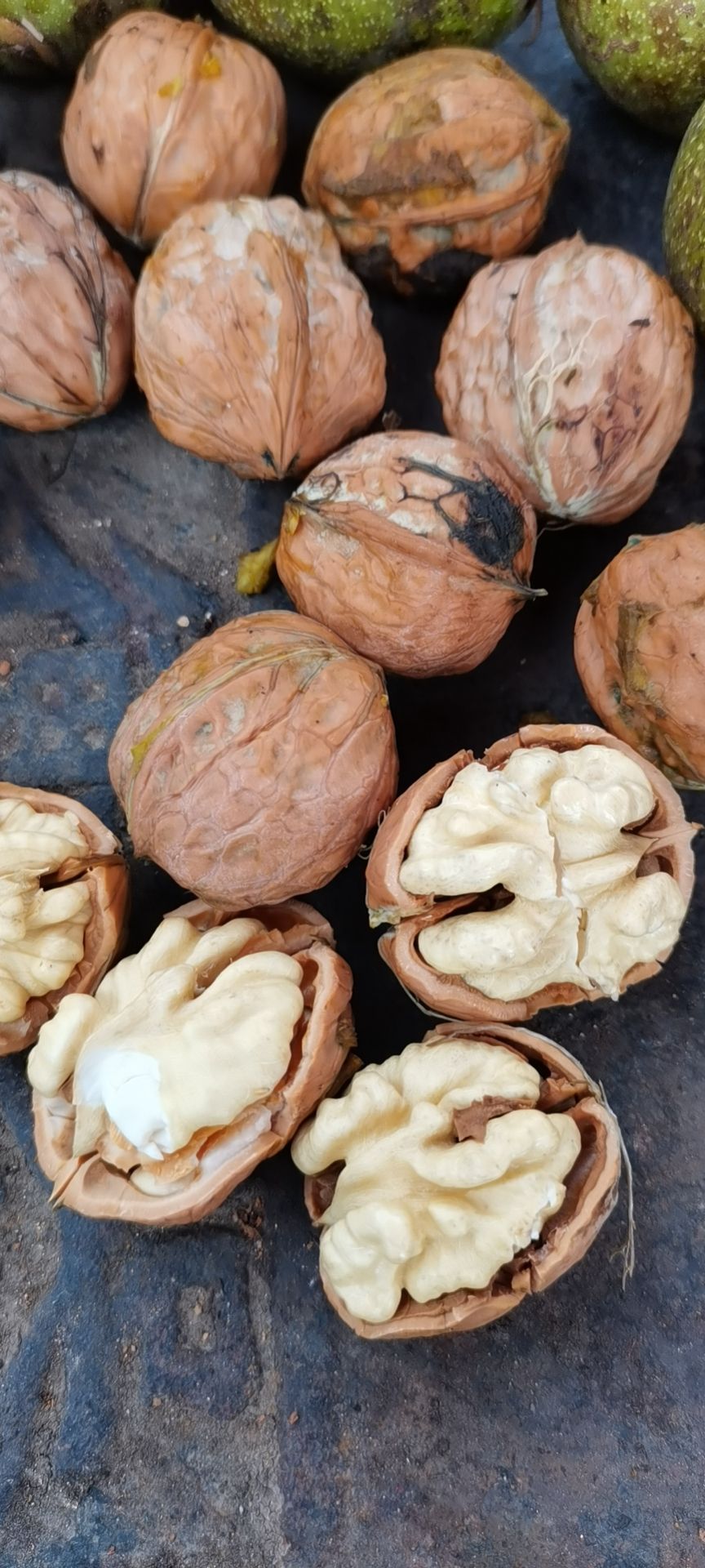 青皮核桃 核桃鲜果