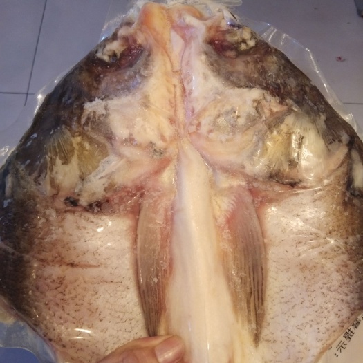 丹江口市白鲢鱼 一等品鱼头