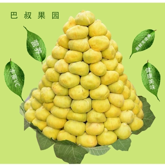 新疆阿图什新鲜大无花果2斤巴叔新鲜水果孕妇健康果树上糖包子