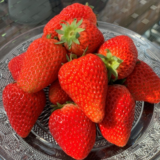 泰安黔莓2号草莓苗 脱毒法兰地草莓苗 美香莎草莓苗供应 现挖现卖