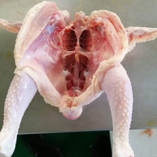 莘县白条鸡  长期出售西装鸡小白条三黄鸡规格齐全，货源稳定，价格合适，