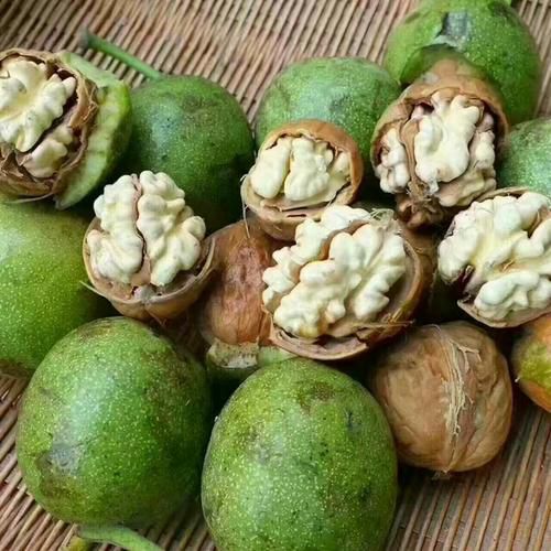 山西辽核香玲礼品薄皮青皮核桃