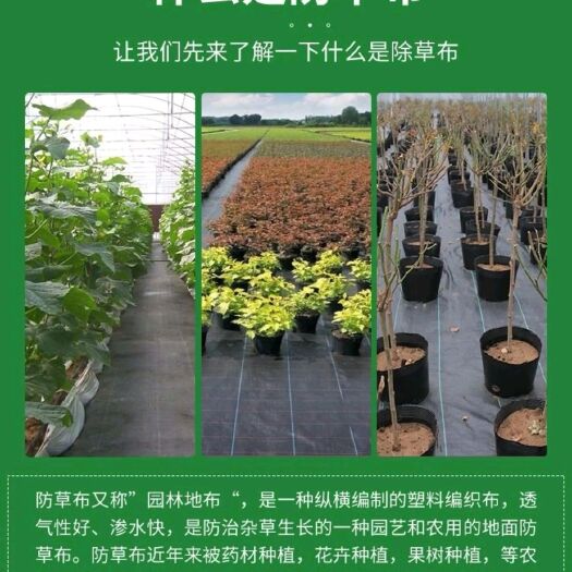 莘县生态防草布透气透水保湿保肥可分解，节约人工费用欲购从速