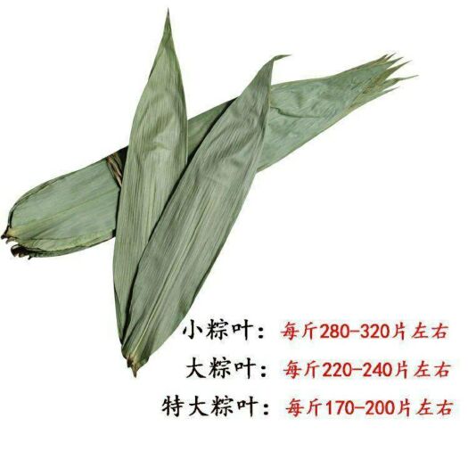宁化县 粽叶