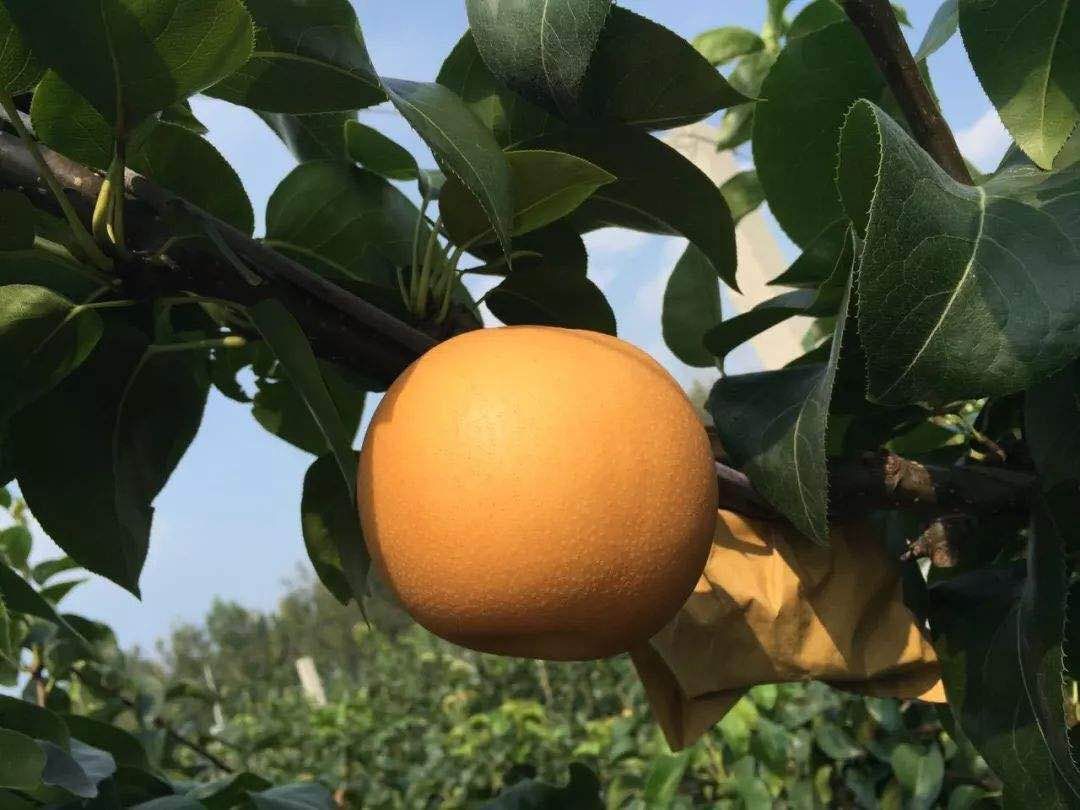 ɽԲУֱ žӪ רҵ ȫ