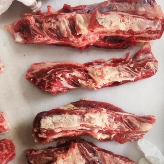 牛肋条  纯干牛腹肉 烧烤火锅好食材厂家直销一手货源