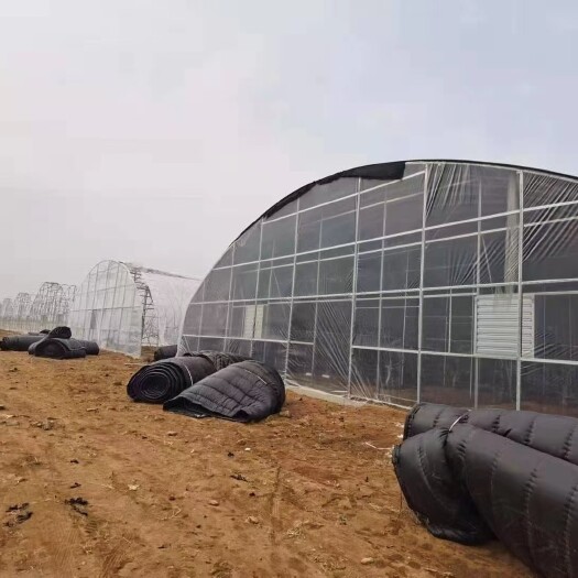 德州种植大棚 大跨度温室