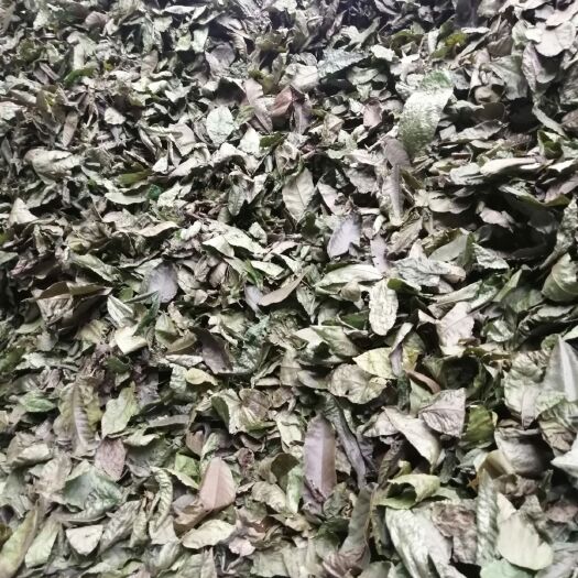 青錢(qián)柳葉