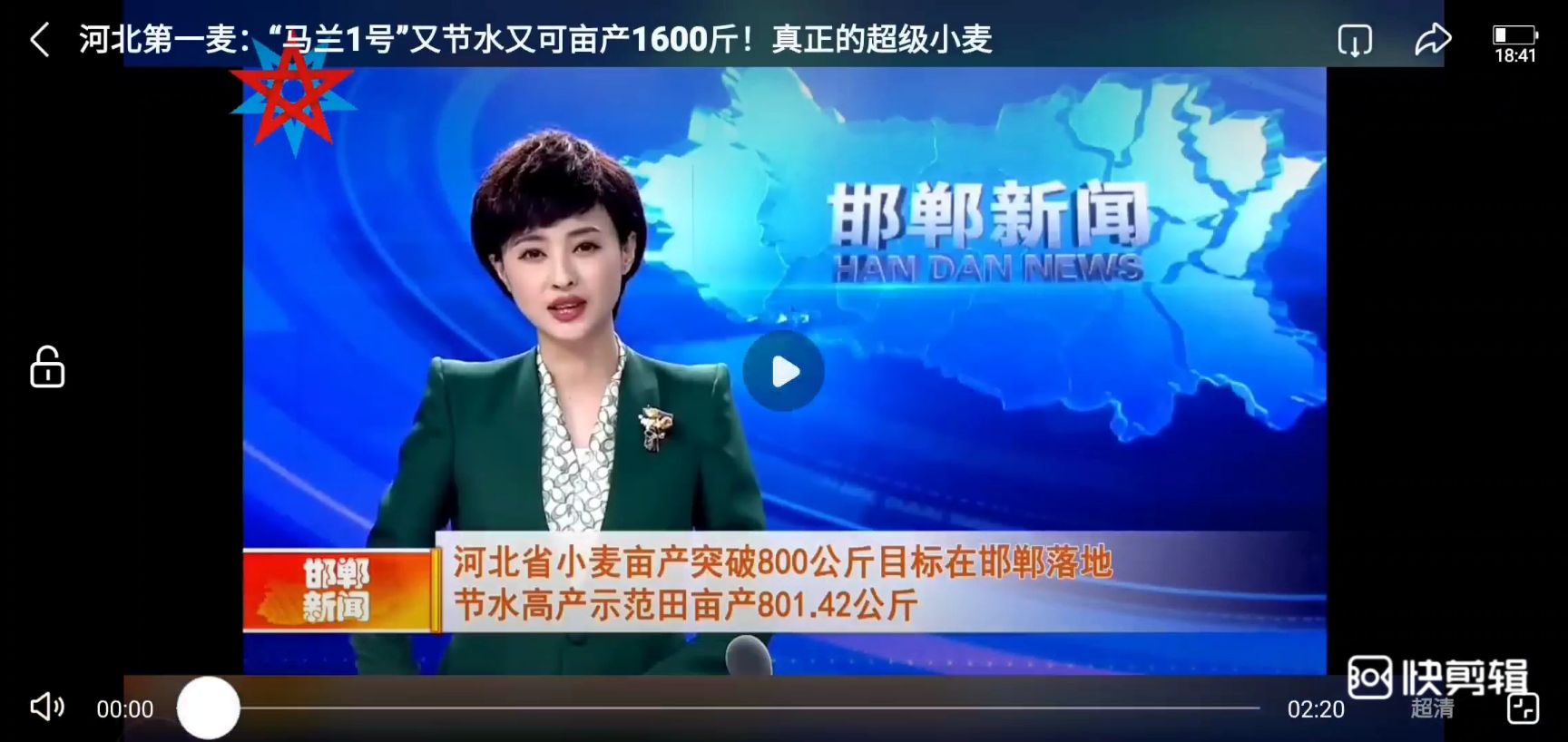 马兰一号优良品种，，小麦新品马兰一号亩产超800