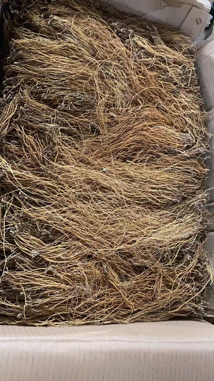 滇龙胆草选货产地直供