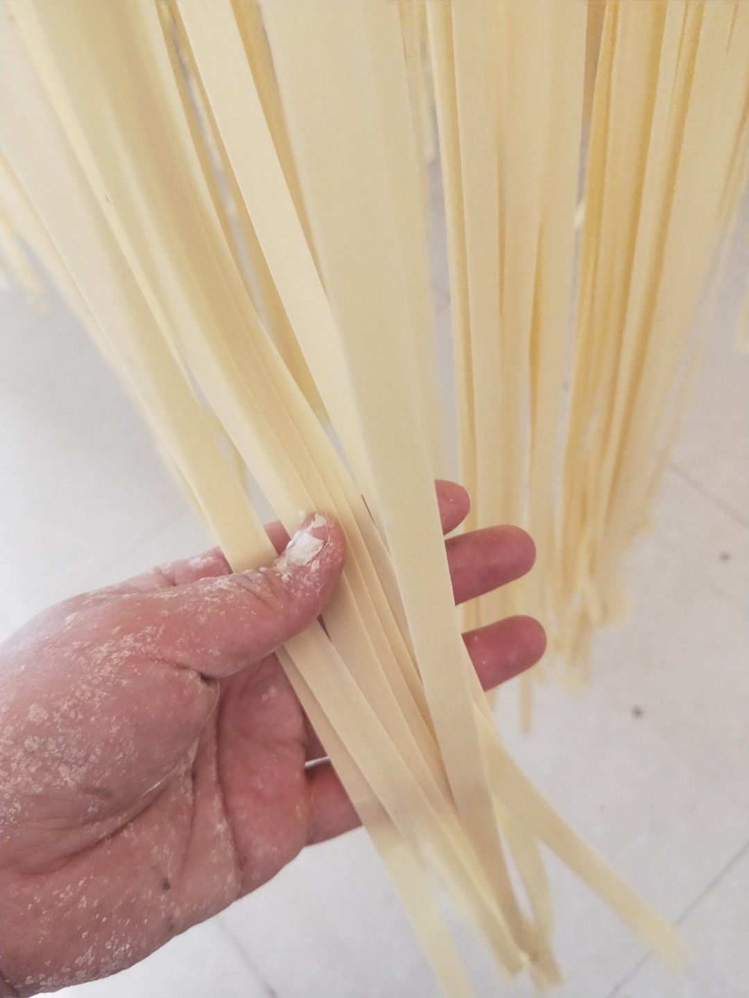 鸡蛋面  铺盖面/大刀面