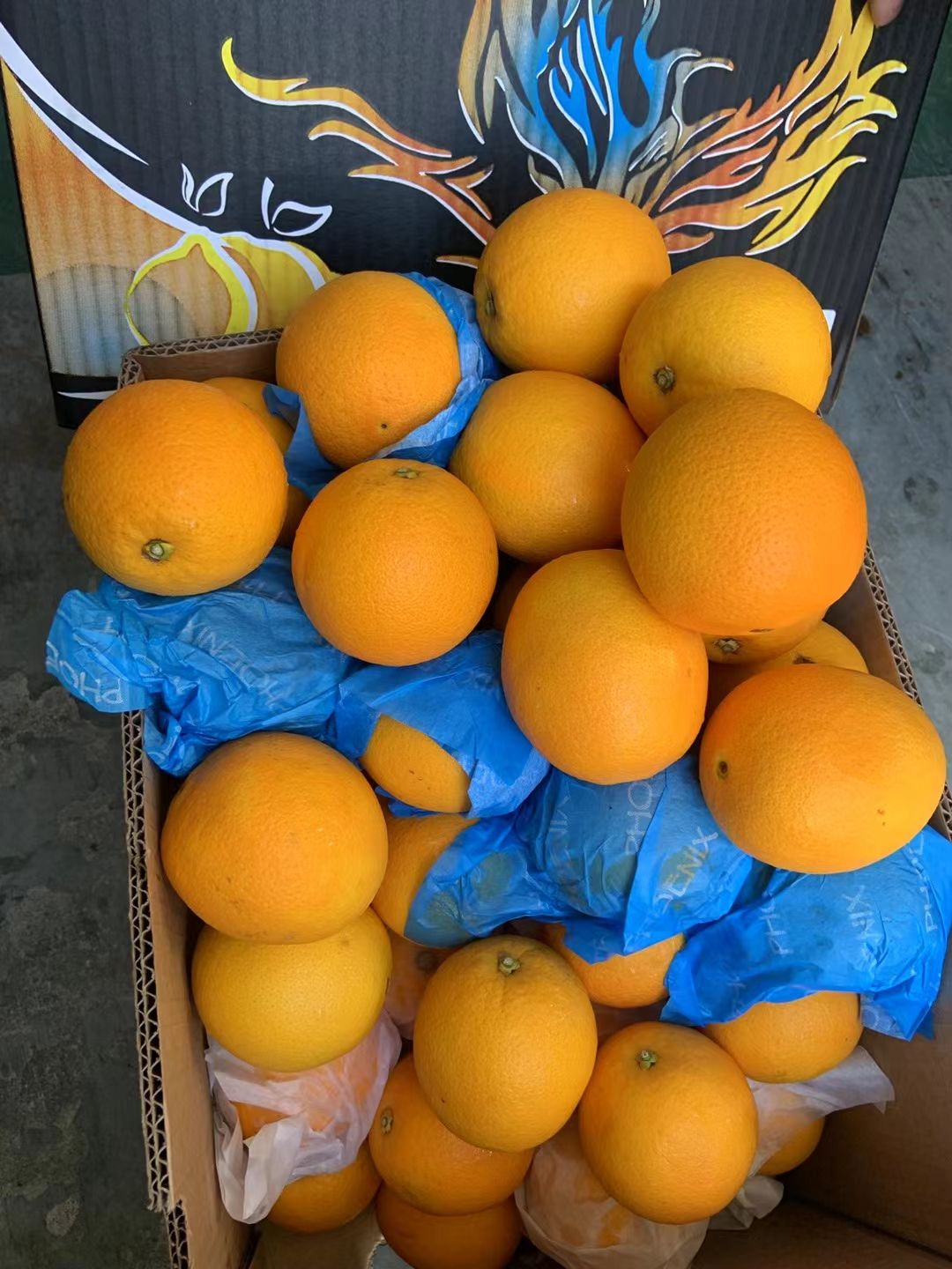 广州南非橙  南非甜橙酸橙鲜果