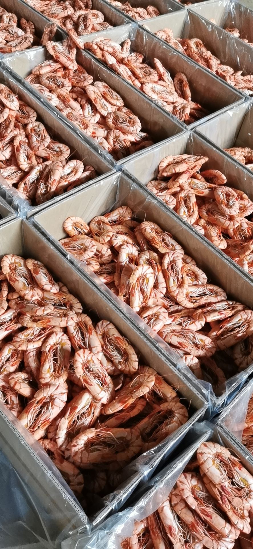 对虾干 九节虾干，小孩即食零食补钙特大炭烤大虾