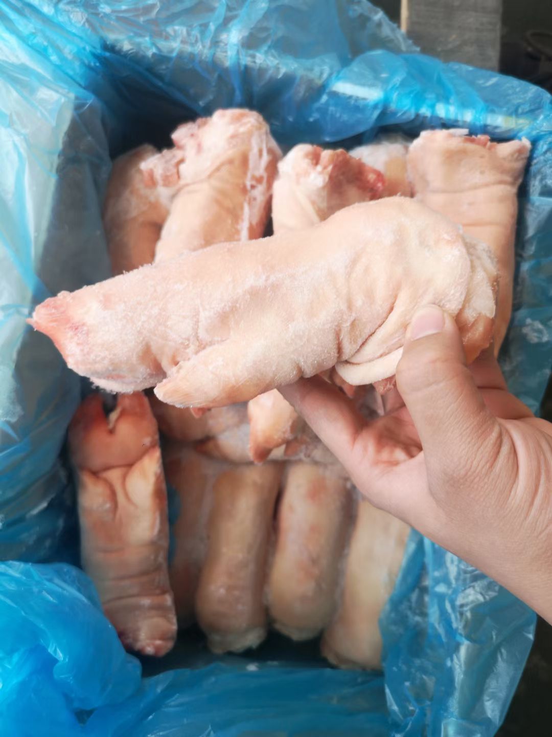 猪蹄，一级猪前蹄一件代发，量大从优