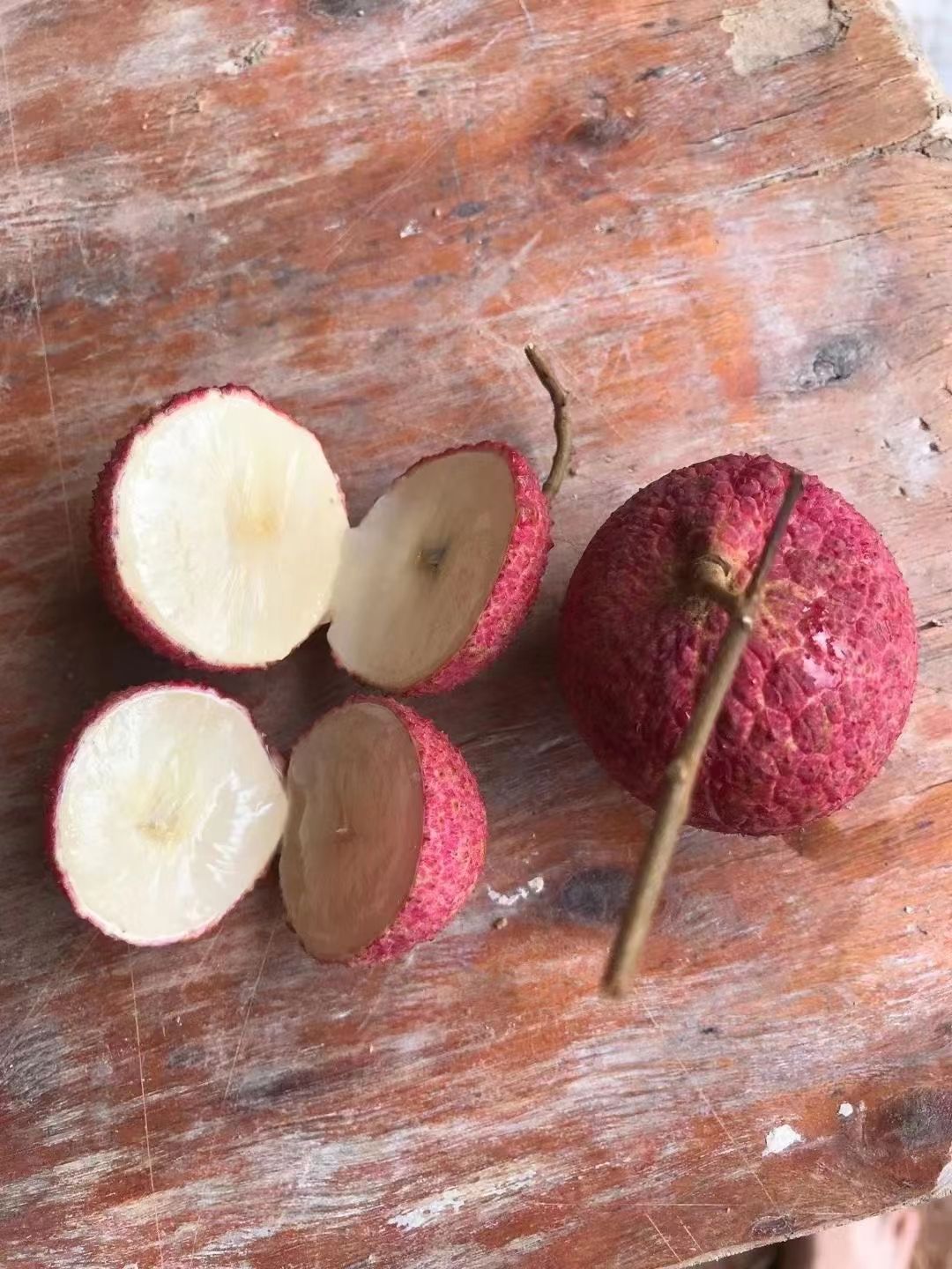 无核荔枝苗  无核荔枝果树苗