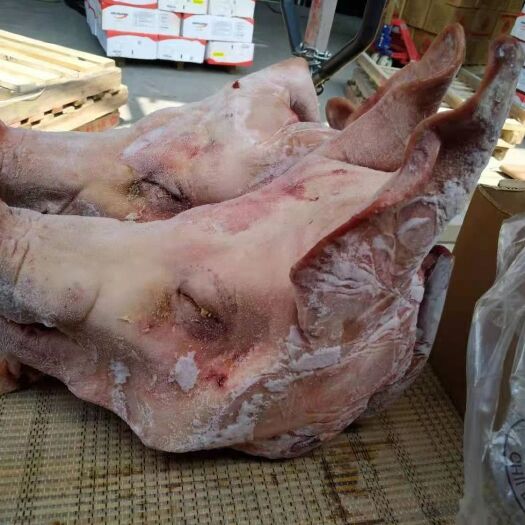 猪头，带耳带口条