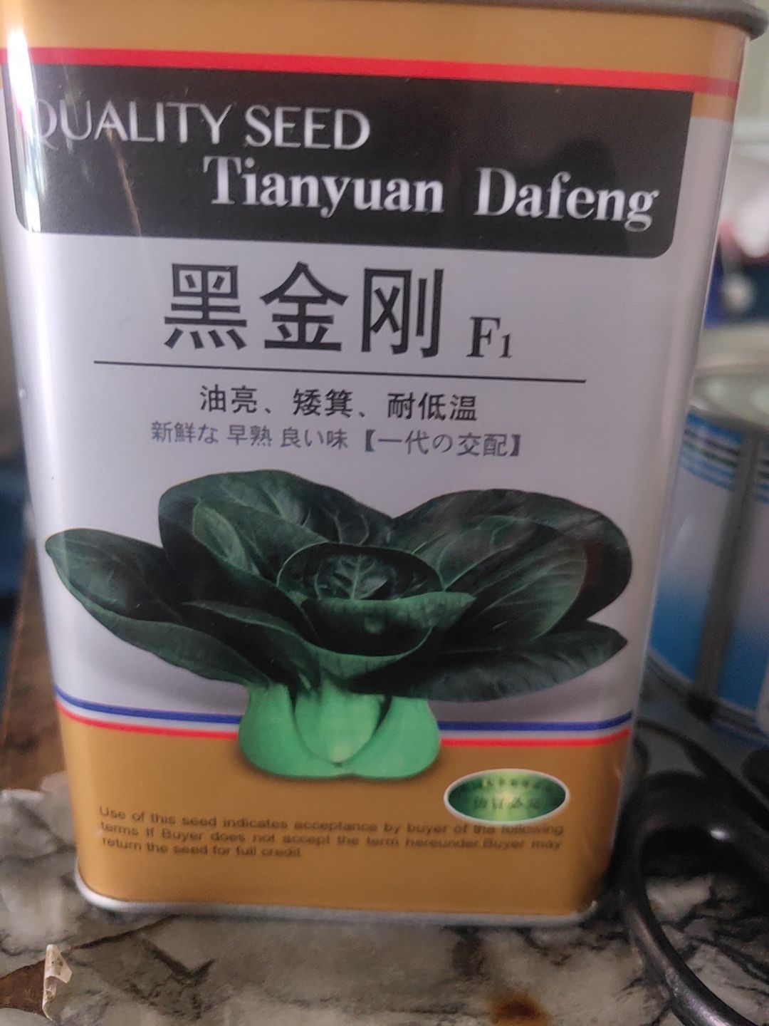  黑金刚油亮矮箕白菜种子