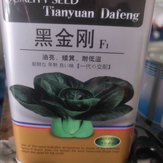 余干县 黑金刚油亮矮箕白菜种子