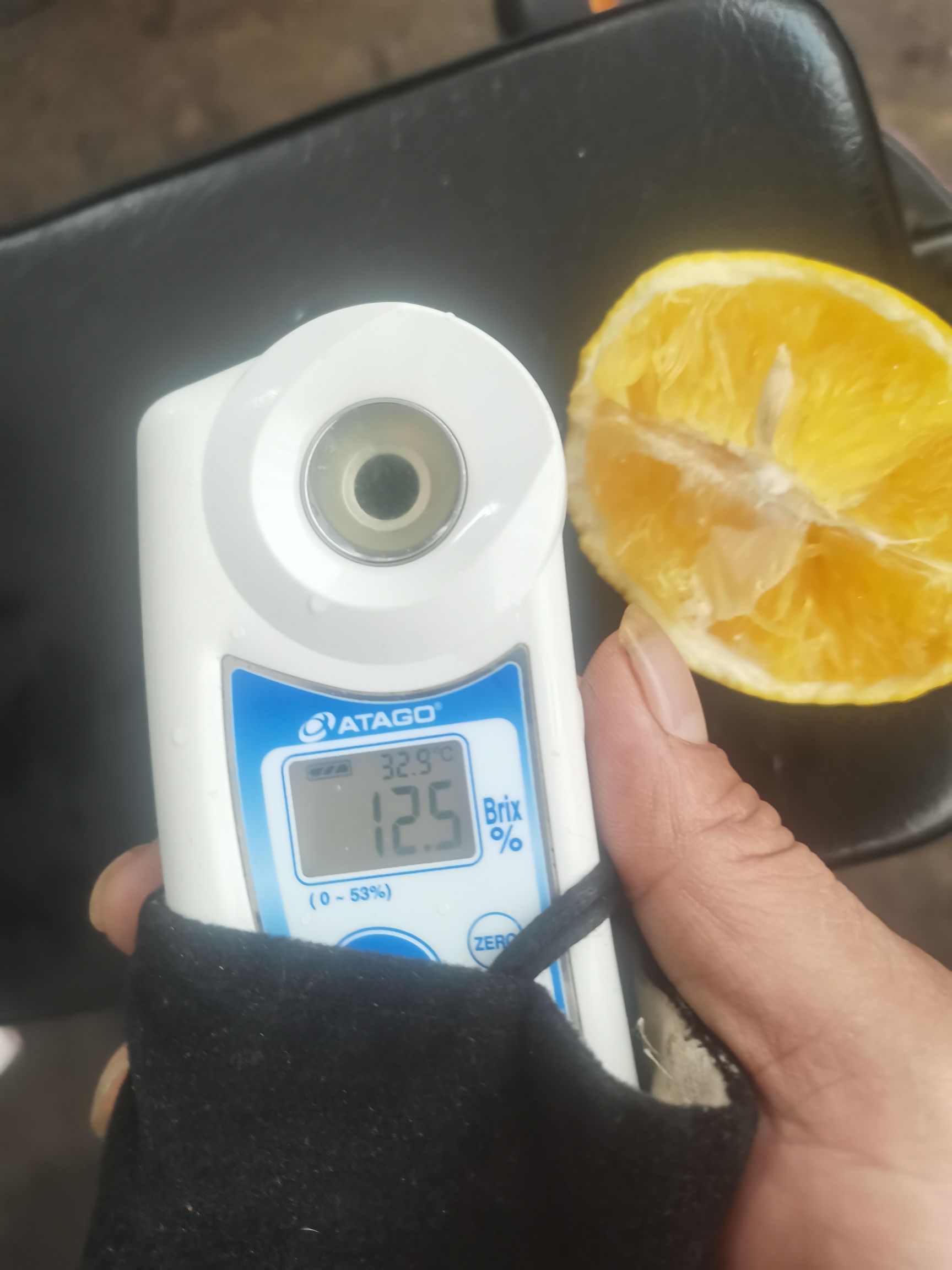 南非橙  南非甜橙酸橙鲜果