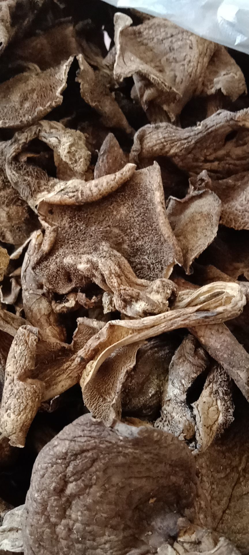 野生黑虎掌菌A级干货邮