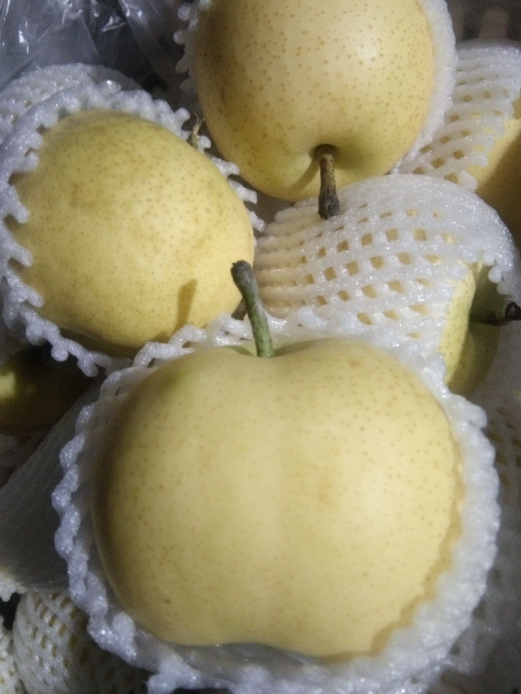 皇冠梨 膜袋皇冠，皮薄汁多糖份高，纯绿色无公害管理，货好价低