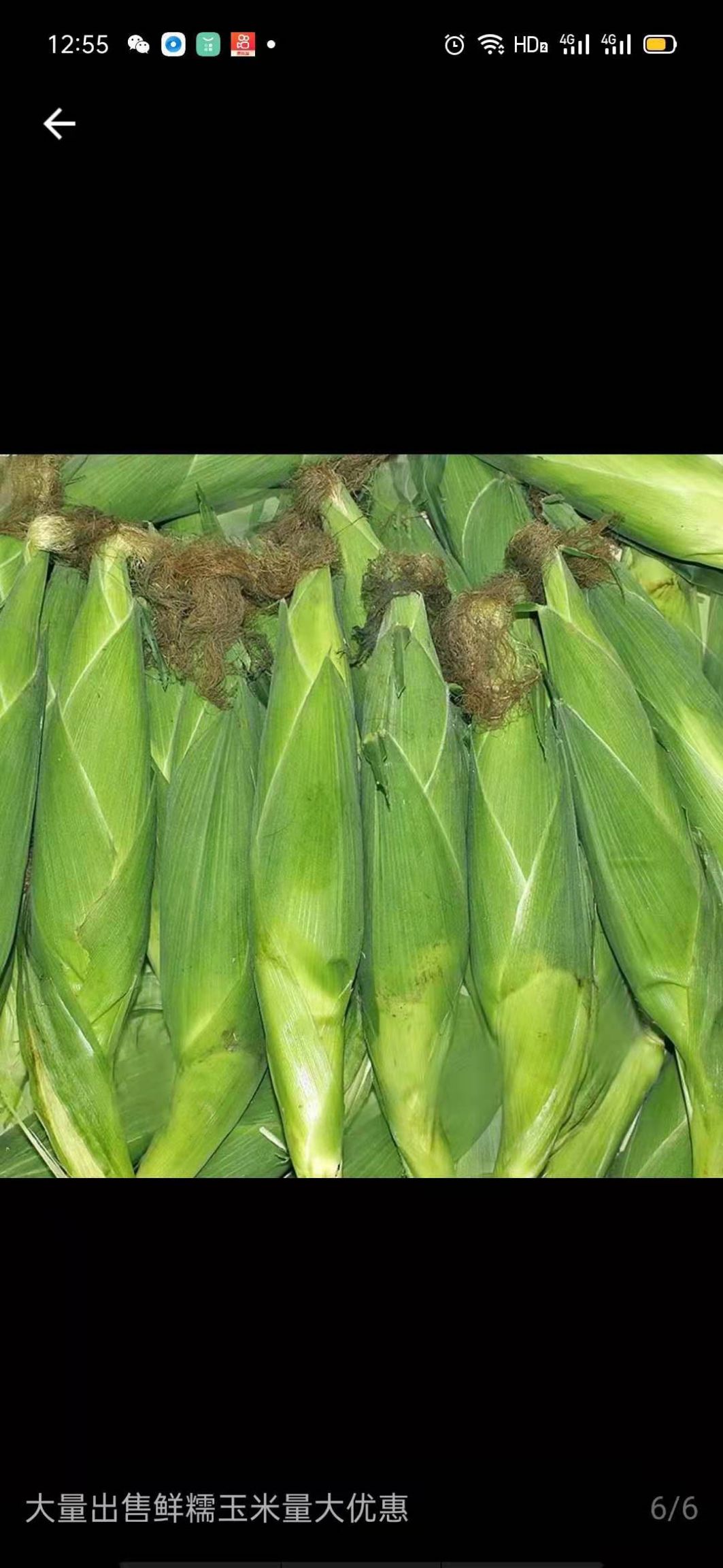 花糯，白糯，黑糯