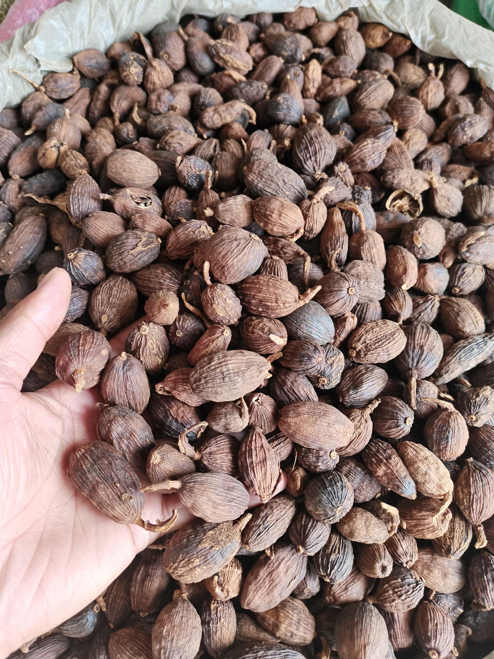 草果 草果皮 草果仁 剪把草果 各种香辛料批发中药材大全