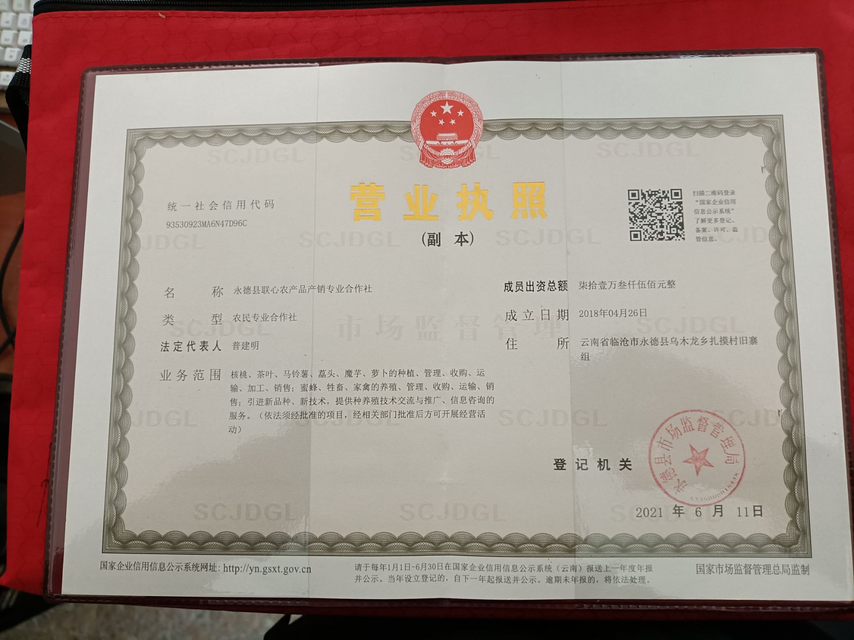 白衣藠头  云南永德藠头