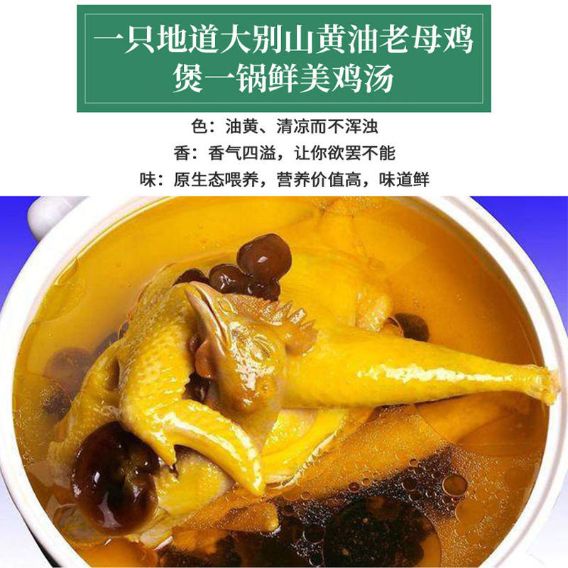 土鸡  两年老母鸡3~4斤正宗农家散养2~3年现杀现发。