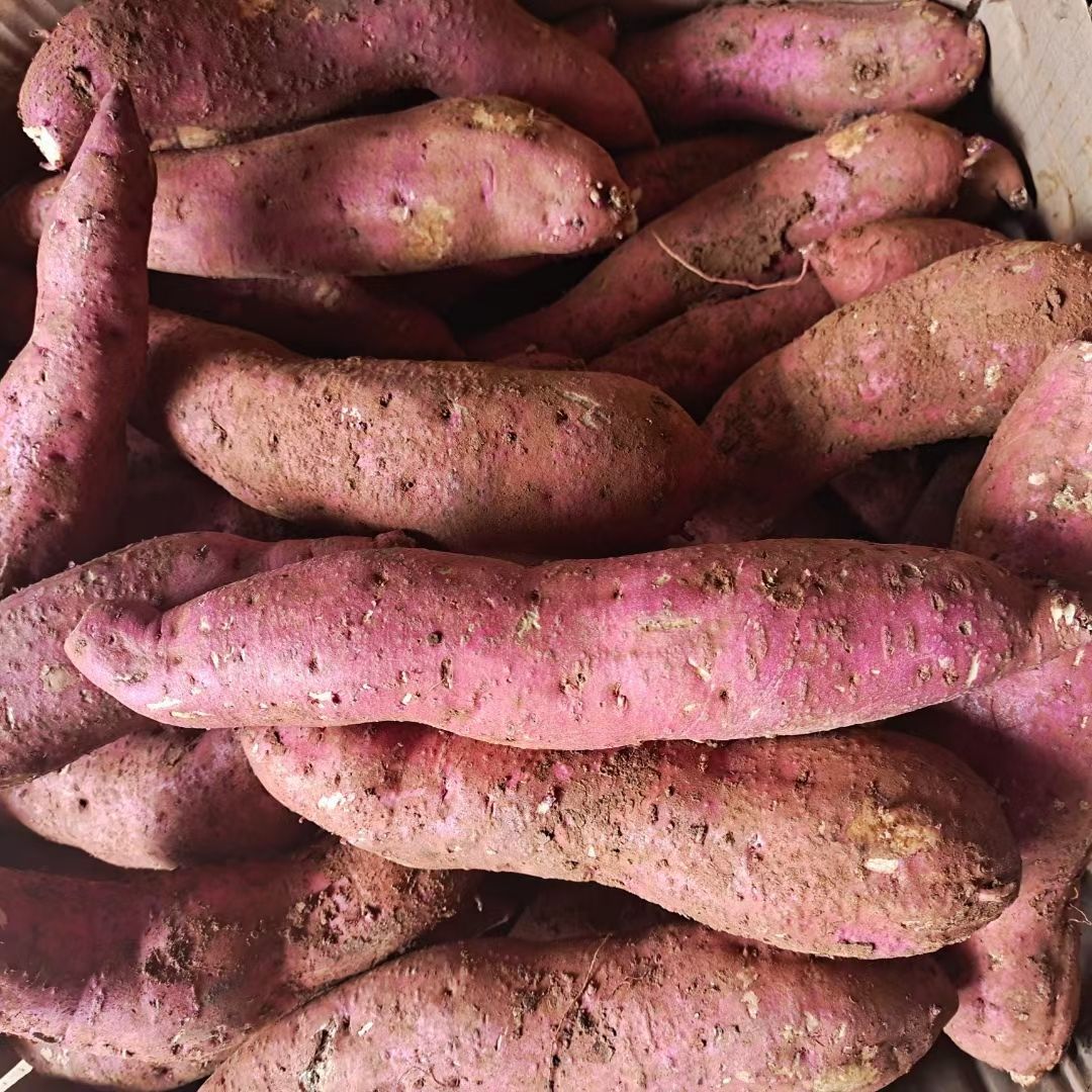 红薯  【坏损包赔包邮】高原红皮黄心蜜薯口感甜蜜