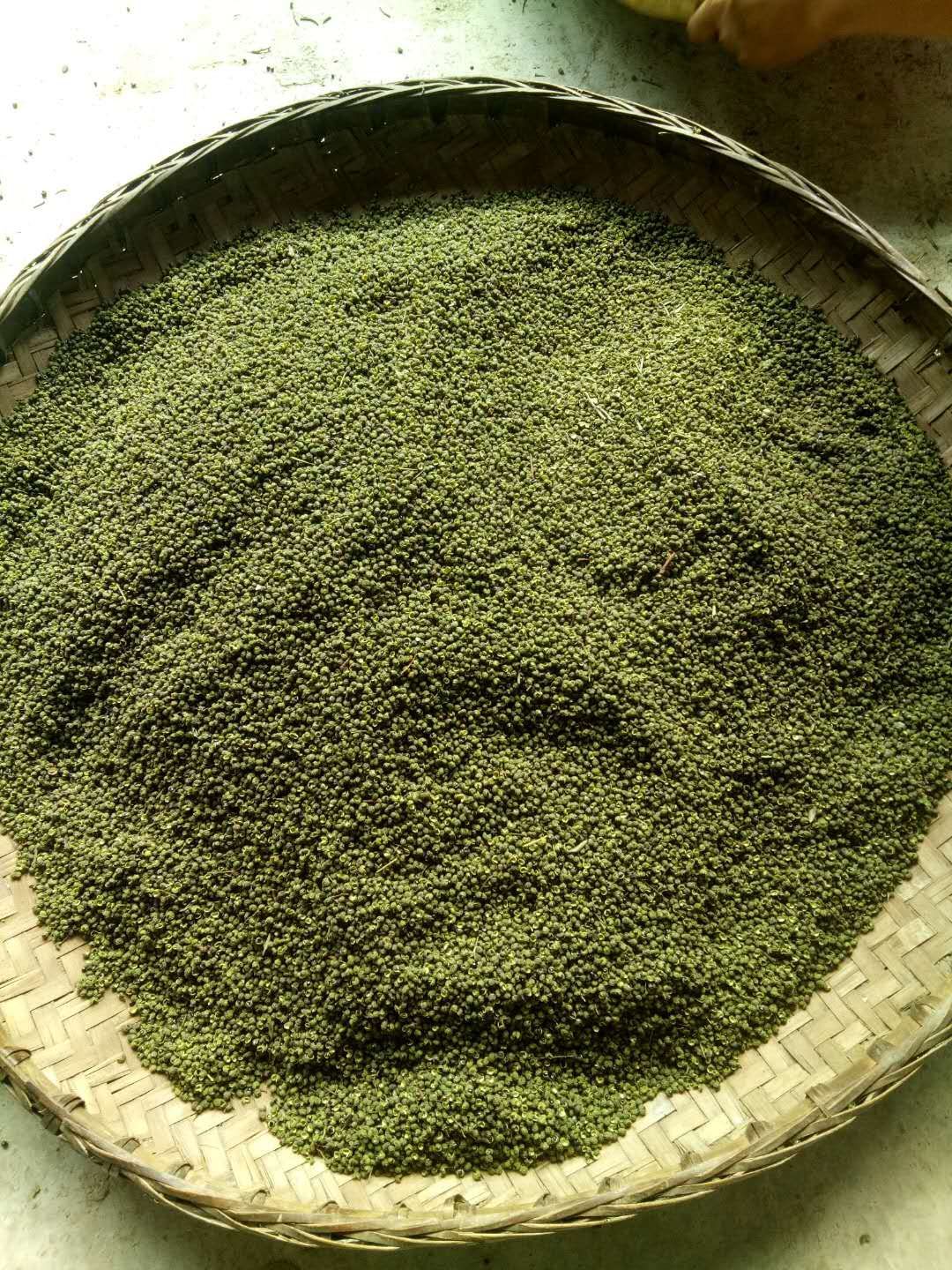 青花椒 正宗云南九叶青麻椒    合作社出产  欢迎各大商家老板洽谈