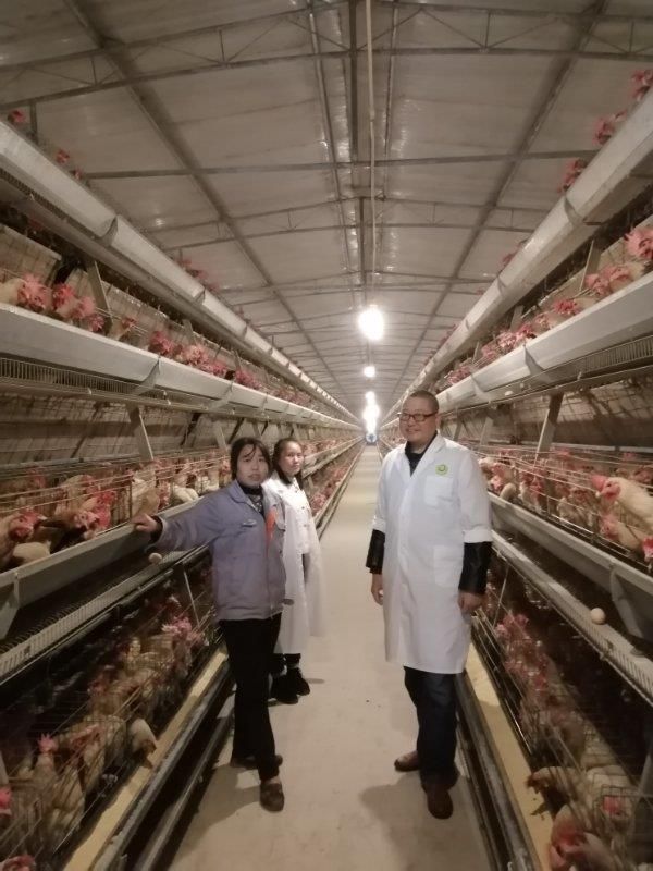 禽畜养殖技术 畜牧养殖，疾病防控专家，钟银祥研究员。