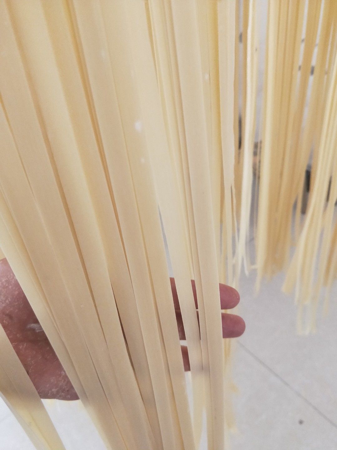 鸡蛋面  铺盖面/大刀面