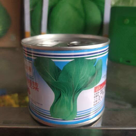 余干县白菜种子  全能青梗菜。抗病能力强，