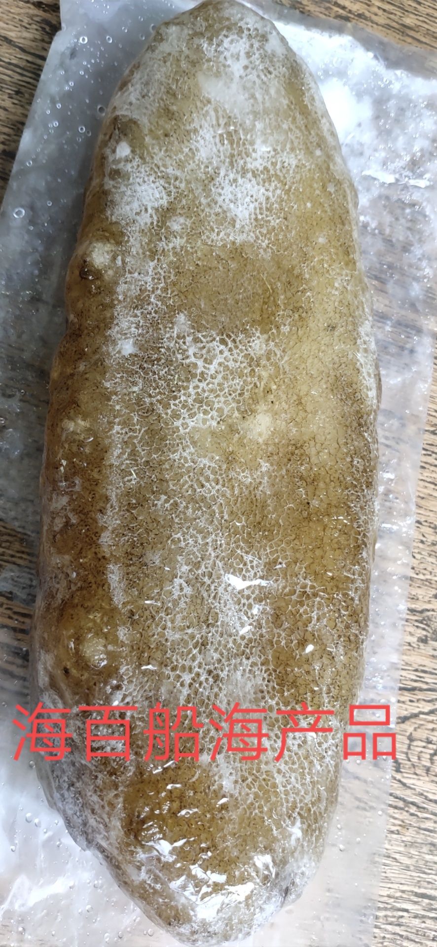 图纹白尼参  冰冻白尼参女人的加油站