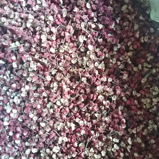 两当县花椒 甘肃省陇南市两当县 一级 干花椒 