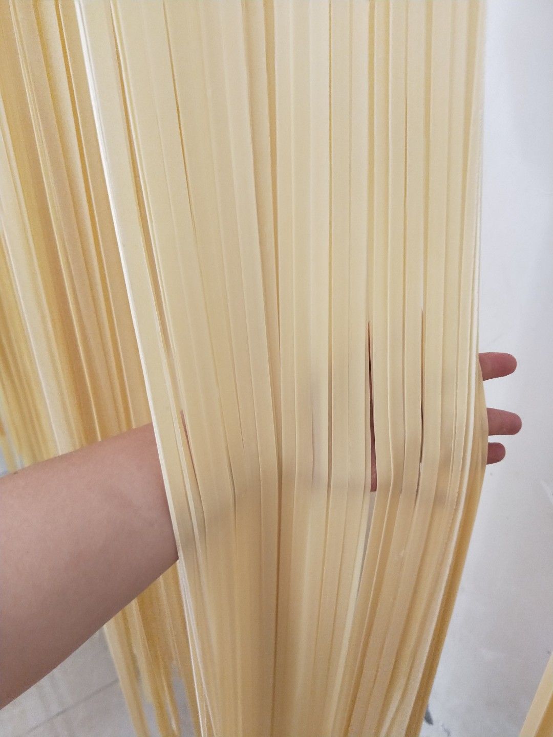 鸡蛋面  铺盖面/大刀面