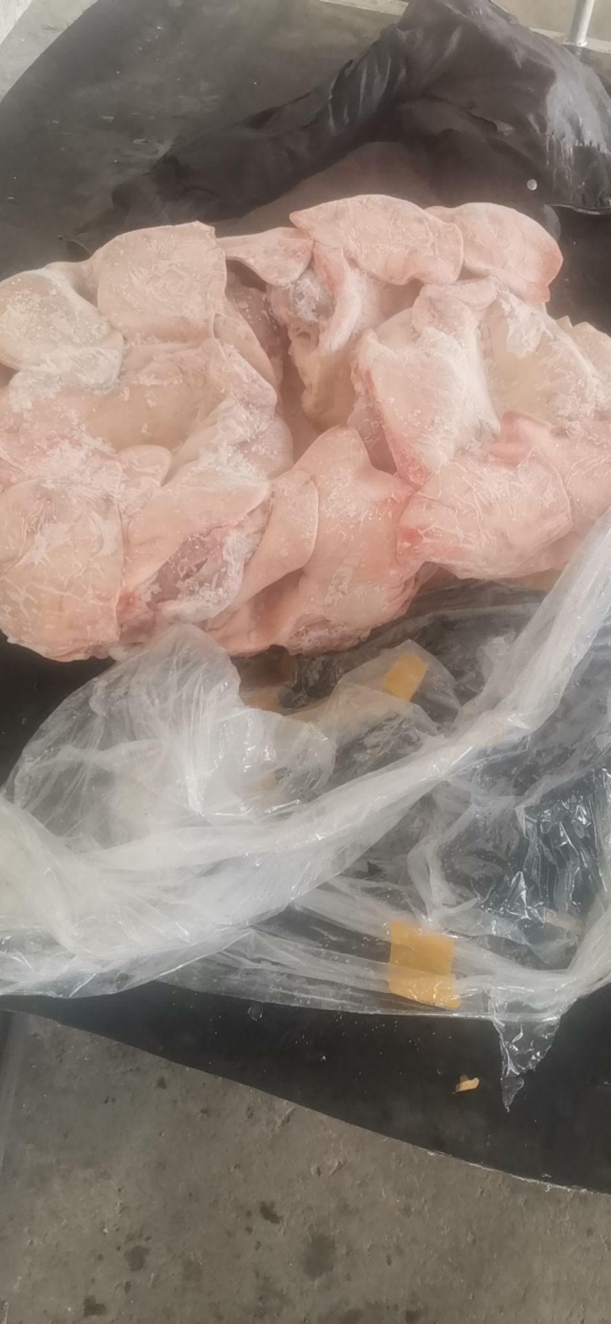 猪头  肥猪带耳劈半头   5斤左右   新货   手续齐全