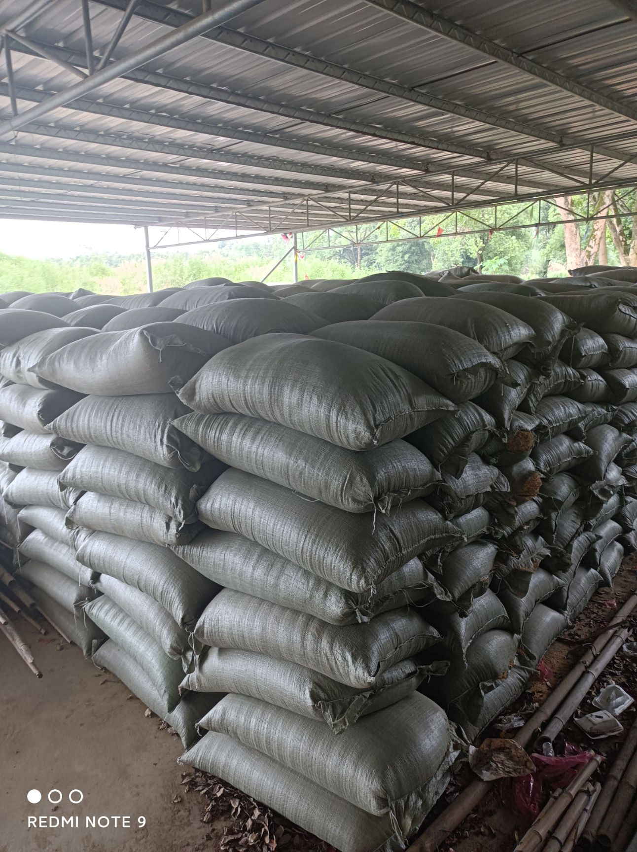 谷壳稻谷壳 普通稻壳