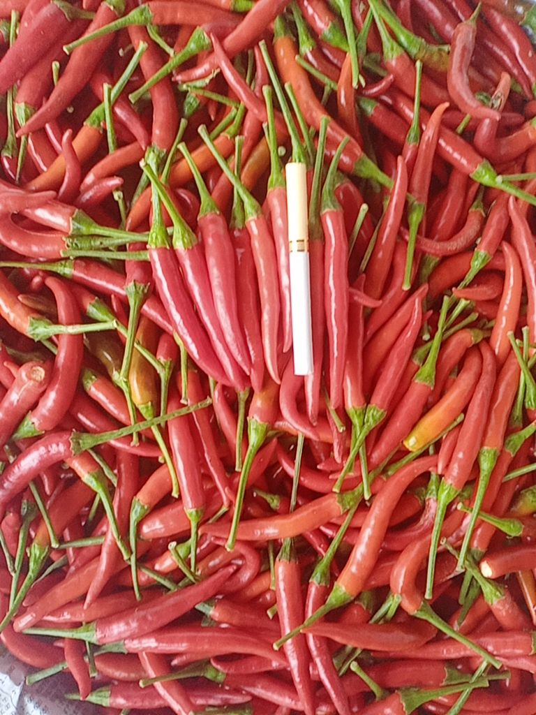 霞光果蔬  电商货小米椒  产地直供