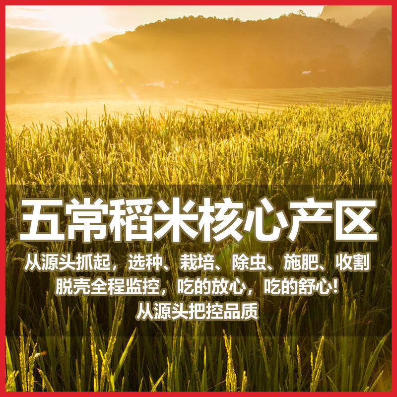 正宗东北五常稻花香大米