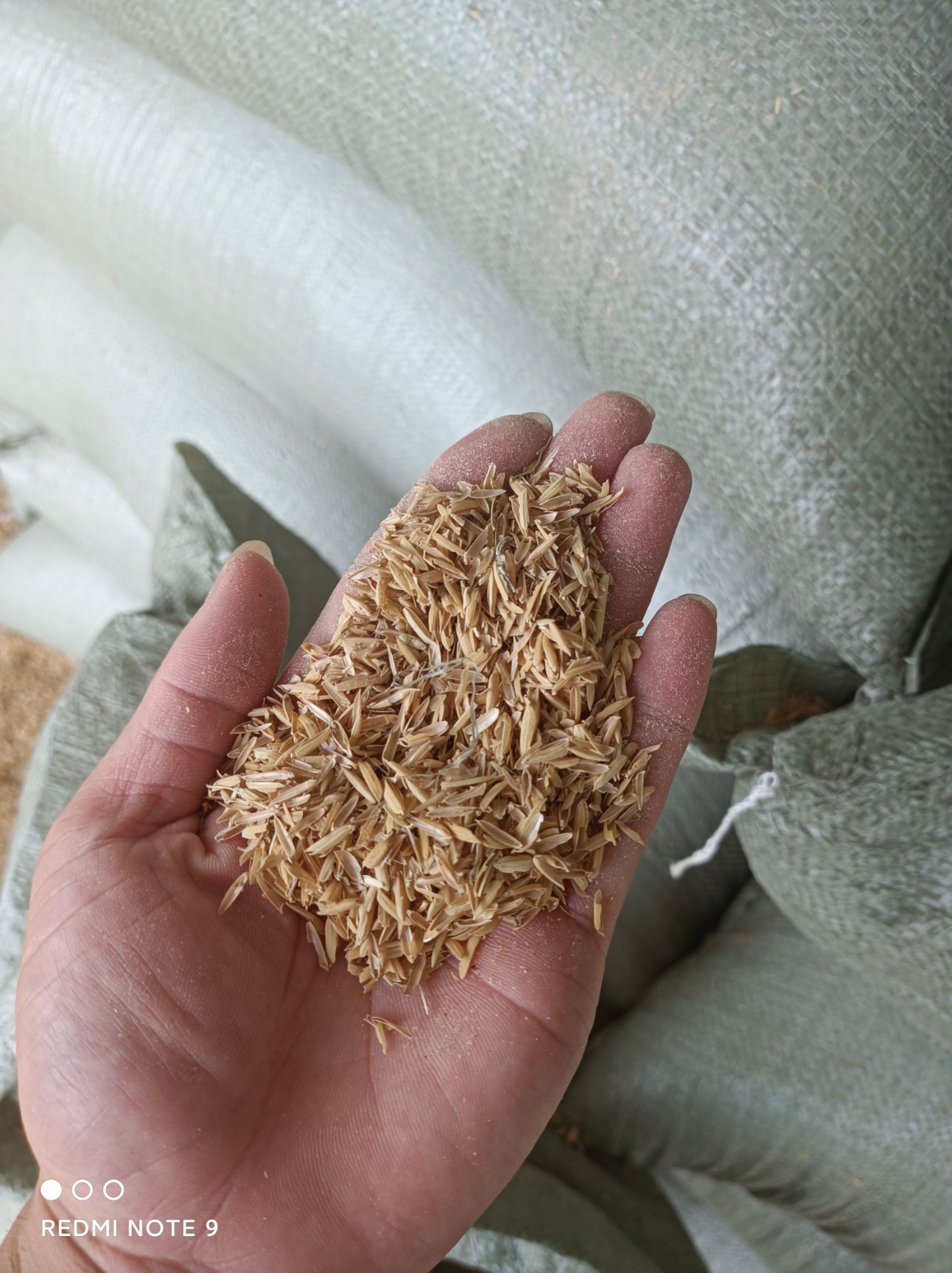 谷壳稻谷壳 普通稻壳