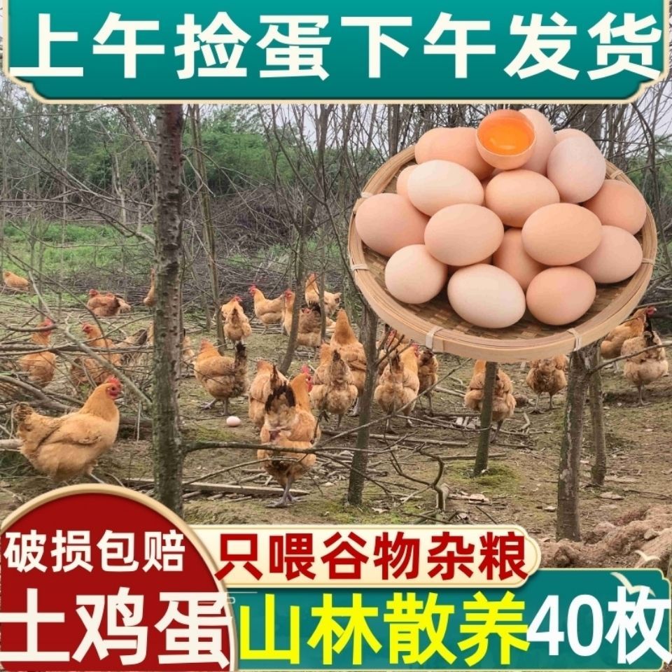 农家散养土鸡蛋现捡现发正宗新鲜，大个笨鸡蛋