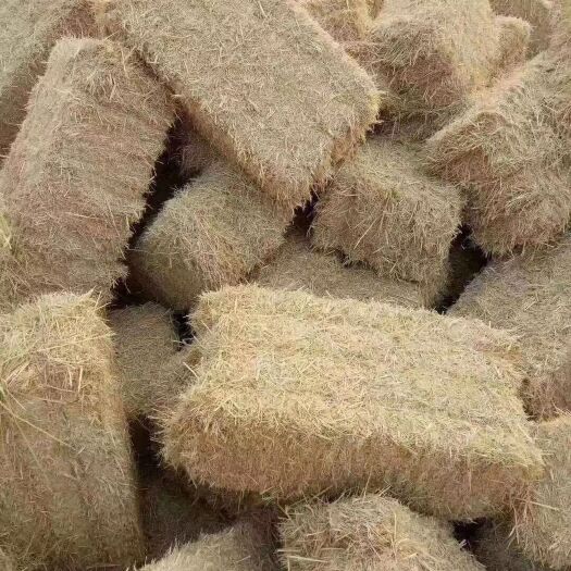 桃江县 方捆稻草