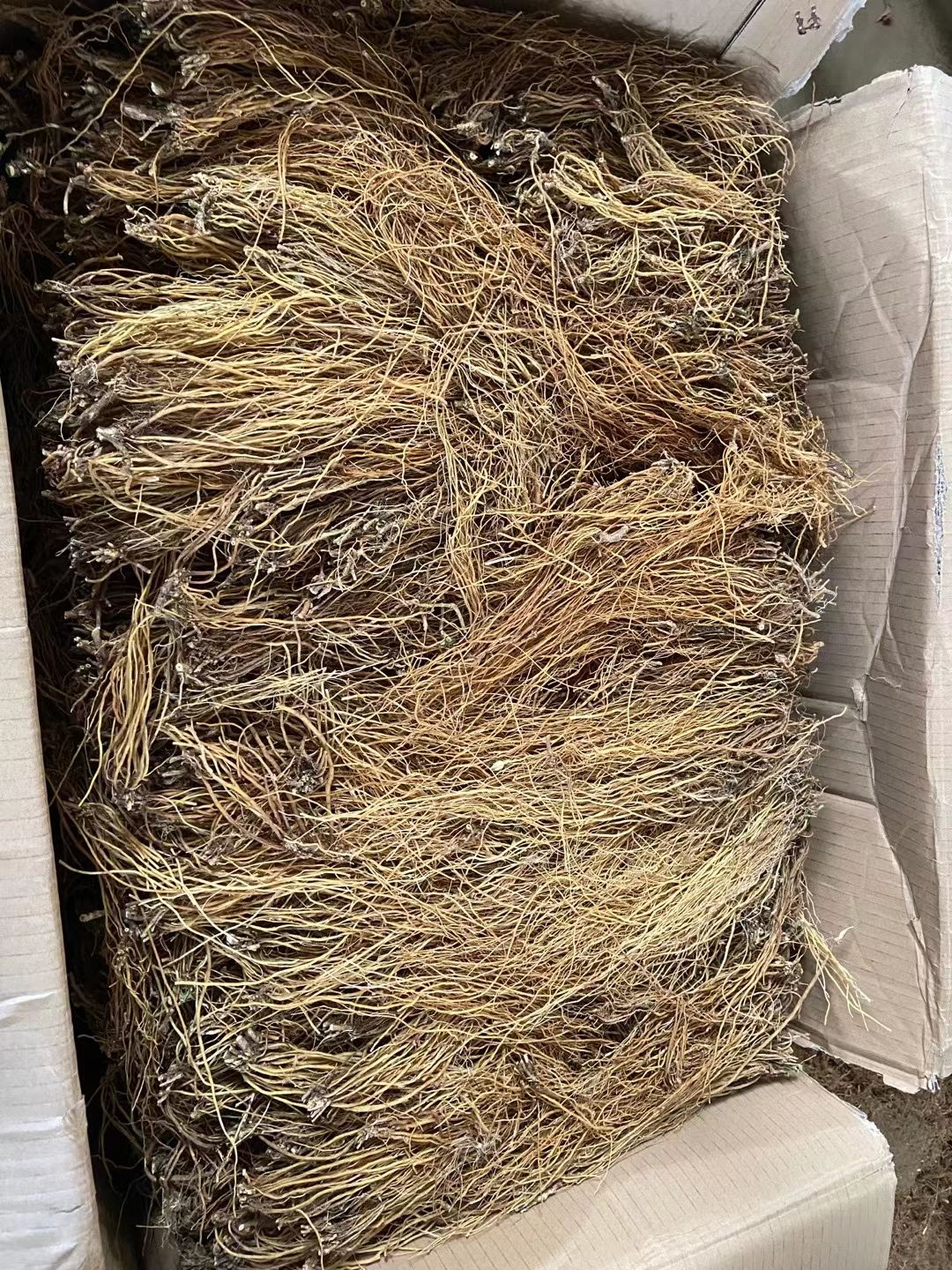 坚龙胆  龙胆  滇龙胆精选直条