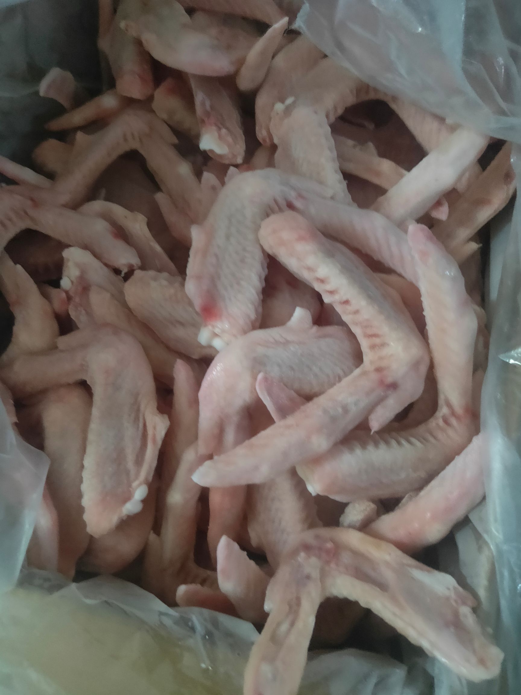 鸭翅  二节翅L厂家直销需要的联系