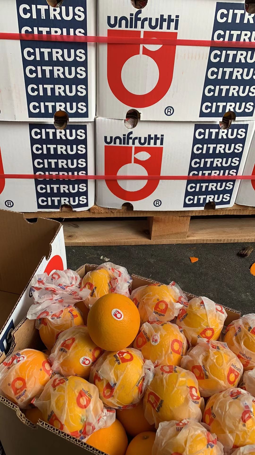 南非橙  南非甜橙酸橙鲜果