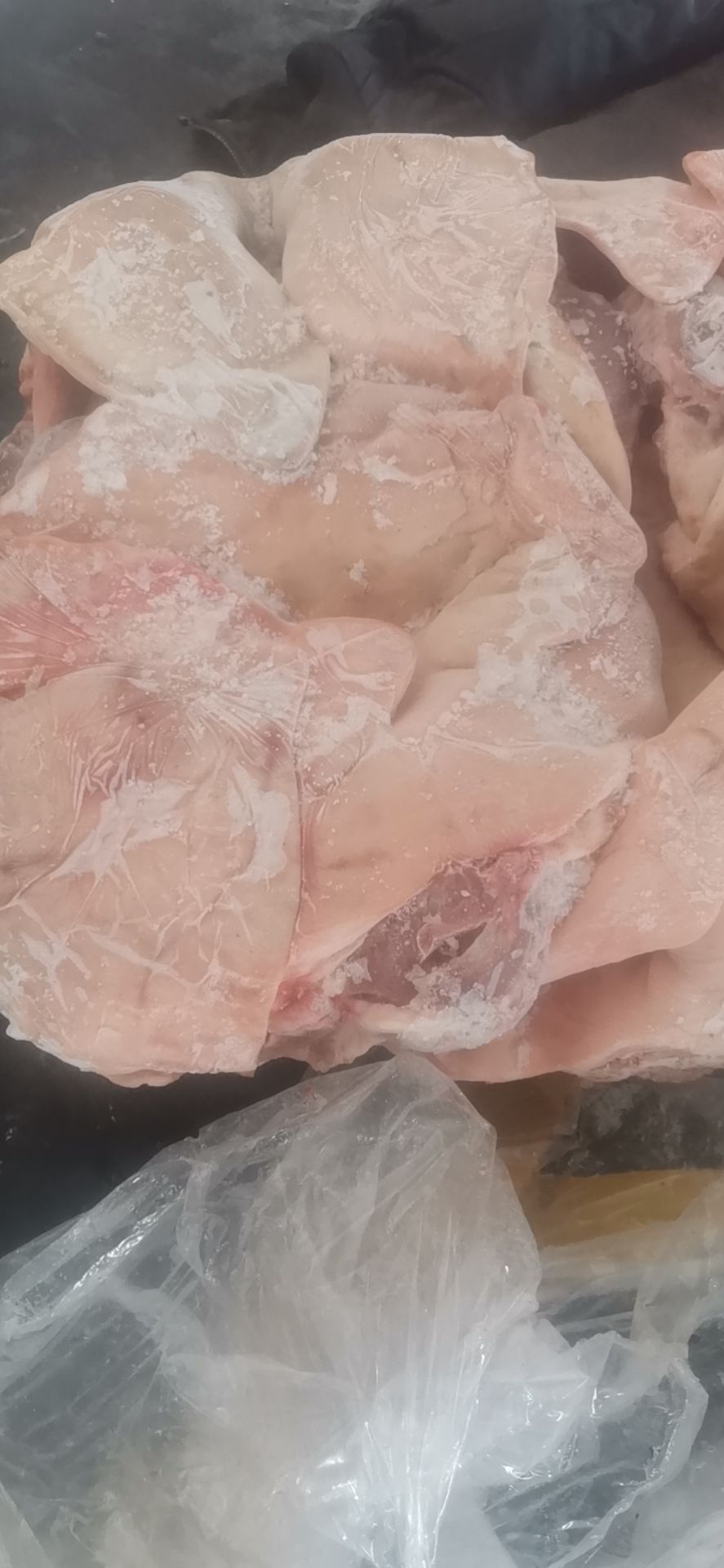 猪头  肥猪带耳劈半头   5斤左右   新货   手续齐全