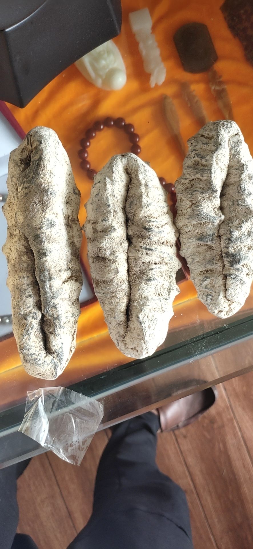 图纹白尼参  冰冻白尼参女人的加油站