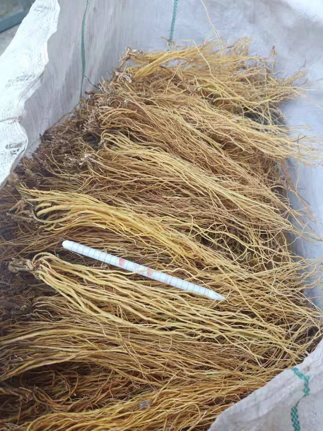 坚龙胆  龙胆  滇龙胆精选直条